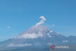 Semeru tiap hari erupsi dalam sepekan terakhir