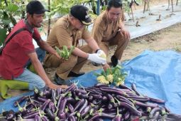 APBD 2024 Tabalong capai Rp3 triliun usai terima dana tambahan dana bagi hasil