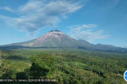 BPBD: Erupsi Gunung Semeru setiap hari tidak berdampak pada aktivitas warga