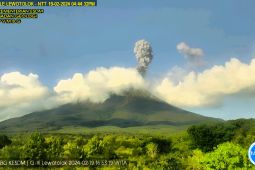 PVMBG laporkan status gunung Ile Lewotolok alami peningkatan ke Siaga