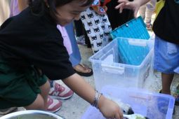 BKSDA Maluku tumbuhkan pengetahuan dan kepedulian konservasi satwa pada anak usia dini