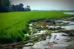 26.998 hektare lahan petani diusulkan terima bantuan gagal panen 2024