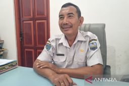 Pemerintah Manokwari garap budidaya anggrek di Distrik Mokwam