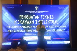Ini pentingnya perlindungan kekayaan intelektual bagi UMKM