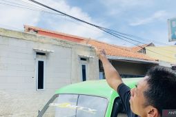 Seorang warga Kota Bogor tewas akibat disengat tawon