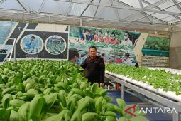 DPTPH Kaltim: Urban farming solusi pemenuhan pangan di perkotaan
