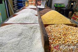 Disperindagkop Kaltim  siapkan toko penyeimbang stabilkan harga beras