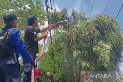 Wali Kota Balikpapan ingatkan potensi kebakaran di tengah cuaca terik