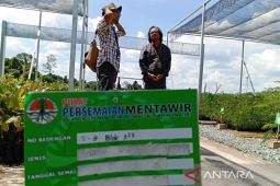 Persemaian Mentawir  di IKN siapkan 2,5 juta bibit gratis