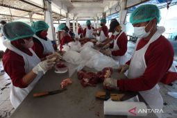 September, giliran RPH Pegirian dipindah ke Tambak Osowilangon