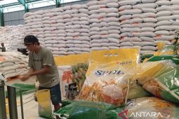 Bulog Samarinda jamin stok beras aman hingga  Idul Fitri