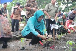 Pj TP PKK Babel tanam bibit cabai di Belitung Timur
