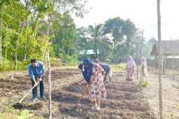 Medco E&P Malaka bina lima kelompok tani di Aceh Timur