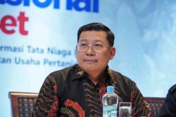 Bapanas imbau masyarakat tak 'panic buying' lakukan pembelian beras berlebihan