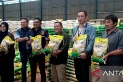 DPKP-Disperindag Babel gelar gerakan pangan murah sebanyak 24 Kali