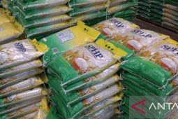 Stok beras di Belitung akhir Juli capai 2.369 ton.