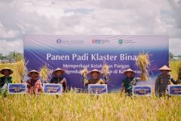 BI Kaltim perkuat ketahanan pangan di Berau