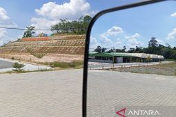 Persemaian IKN kembangkan dua ribu induk pohon buah untuk entres