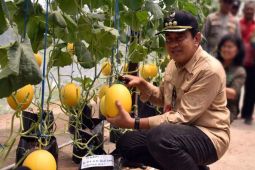 Pj Bupati optimis P4S dapat mencetak petani muda di Kobar