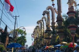 PLN minta masyarakat perhatikan sistem kelistrikan saat pasang penjor