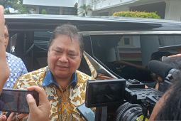Airlangga: anggaran makan siang gratis berkisar Rp15 ribu