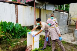 Karantina Malut musnahkan 75 kg ikan lele busuk tidak berdokumen cegah hama penyakit ikan