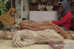 Kemenkop UKM targetkan 30 juta UMKM miliki NIB