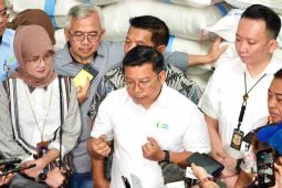 Harga beras akan terkoreksi menjelang panen raya, kata Bapanas