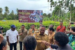 Pemkab Jayapura nyatakan bantuan beras 1,5 ton ke masyarakat cegah inflasi
