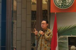 Gapki siap membantu tingkatkan produksi beras melalui tumpang sari