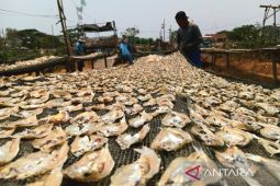 Pemkab: Indramayu jadi produsen perikanan terbesar di Jabar