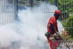 Dinkes Purwakarta: Ratusan warga menderita DBD