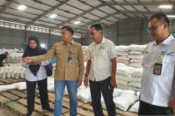 Potensi produksi gabah kering giling pada April-Maret di Sukabumi mencapai 252,3 ton