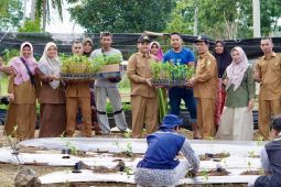 Kelompok tani luncurkan gerakan tanam 6.000 batang cabai merah