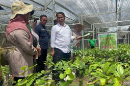 Gubernur Kaltim arahkan kolaborasi  dinas perkebunan-pariwisata