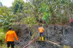 Jumlah titik panas  di Kaltim turun dari 95 menjadi 64