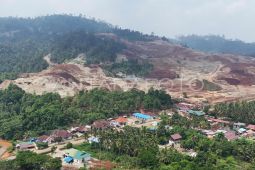 Menteri ESDM  akan tinjau penyebab insiden smelter di Morowali