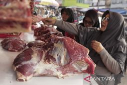 Stok daging sapi nasional