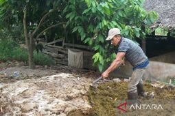 Dinas TPH Kalbar menggencarkan gerakan tani pro organik
