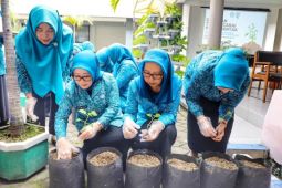 PKK Jatim imbau tanam cabai di pekarangan rumah