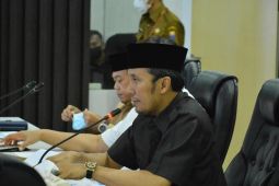 Ketua DPRD Provinsi Jambi: Pantau pergerakan harga dan stok pangan