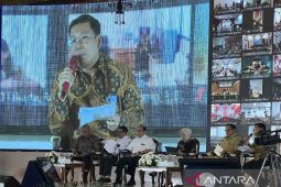 Bapanas: Harga beras mulai turun jadi Rp14.000 per kilogram