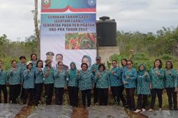 Peringati HKG Ke-52, TP-PKK Malra tanam enam ribu cabai