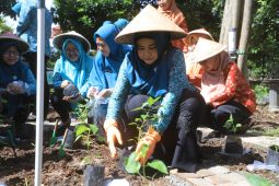 Bantu tekan inflasi, PKK Kota Tangerang tanam 5.000 bibit cabai