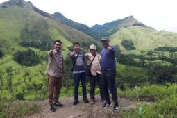 Tiga perusahaan berminat bangun pembangkit listrik