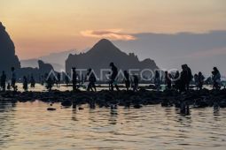 Tradisi Bau Nyale di Mandalika Lombok