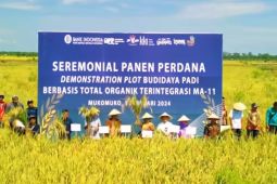 BI proyeksikan inflasi Bengkulu 2024 sesuai target nasional
