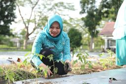 Safriati Safrizal harapkan program PKK Cikar terus ditingkatkan