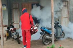 Dinkes Ponorogo waspadai potensi peningkatan kasus demam berdarah