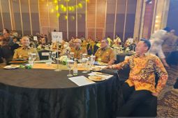 Mendagri puji Pemprov  Papua Barat Daya turunkan inflasi